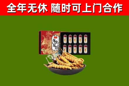 顺义区回收冬虫夏草价格
